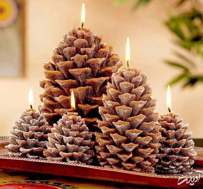 شمع کاجی